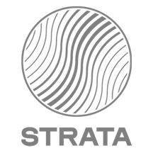 Client Logo: Strata Identity